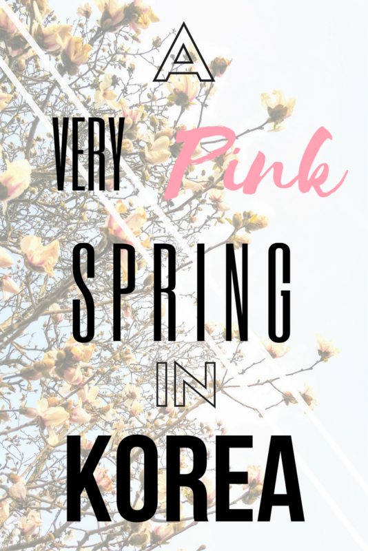 Spring in Korea Pinterest