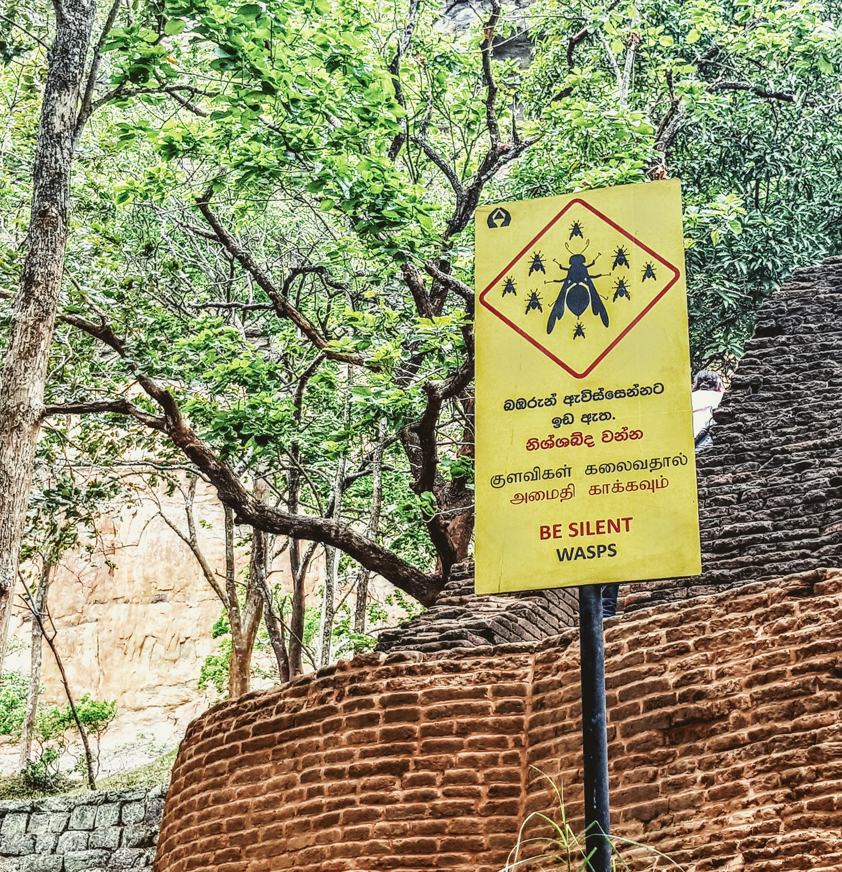 Sigirya Lion Rock Sri Lanka