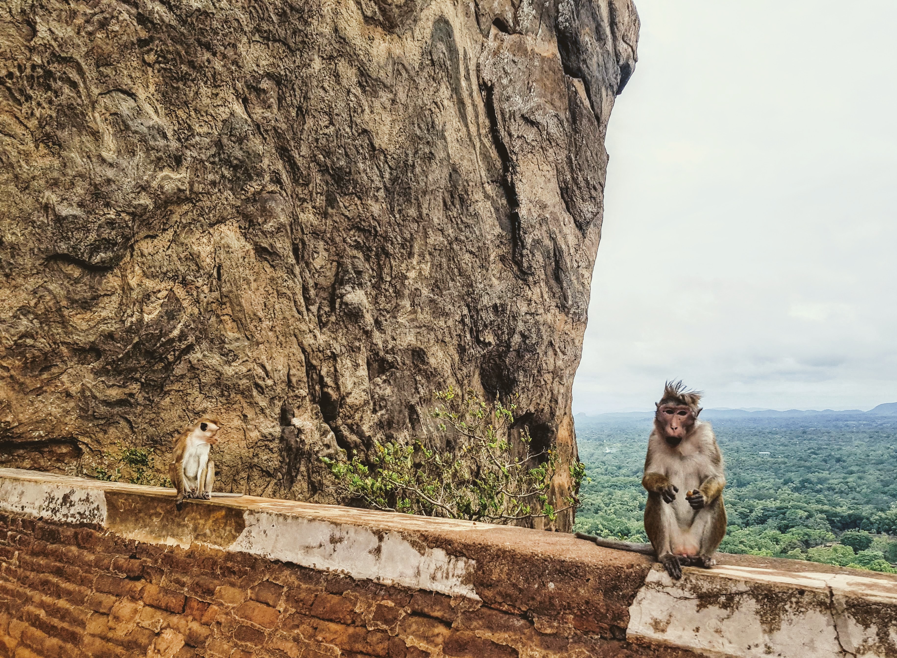 Sigiriya Lion Rock Sri Lanka